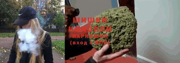 индика Горнозаводск