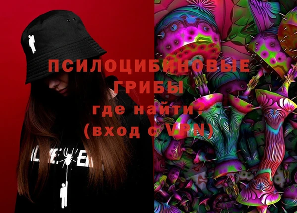 трава Новокубанск