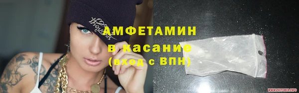 сатива Гусев