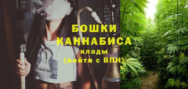 эйфоретик Новозыбков