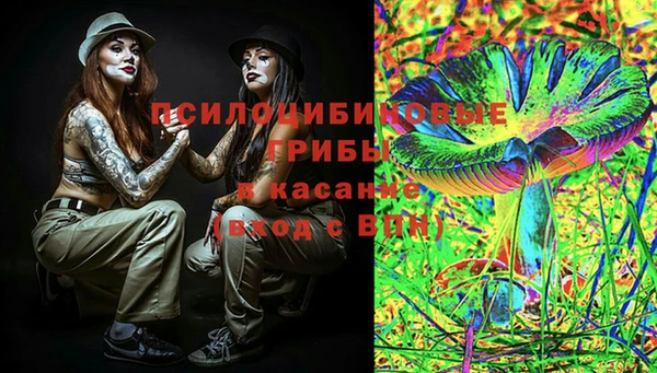 эйфоретик Новозыбков