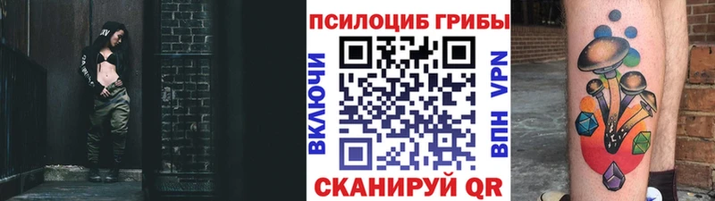 Галлюциногенные грибы Cubensis Котельнич